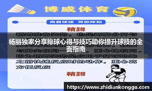 杨丽独家分享排球心得与技巧助你提升球技的全面指南