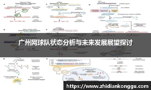广州网球队状态分析与未来发展展望探讨