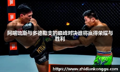 xk体育官网
